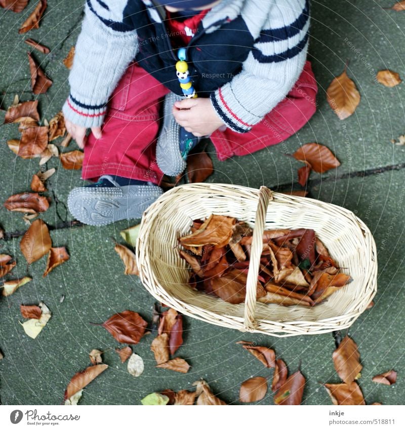 autumn Leisure and hobbies Children's game Baby Infancy Life Body 1 Human being 0 - 12 months Nature Autumn Autumn leaves Leaf Garden Park Clothing Pants Jacket