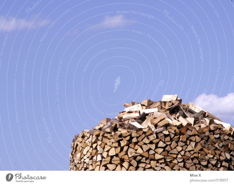pile of wood Garden Sky Clouds Beautiful weather Wood Dry Farm Forestry Firewood Stack of wood Supply Fuel Heap Woodcutter Colour photo Exterior shot Deserted