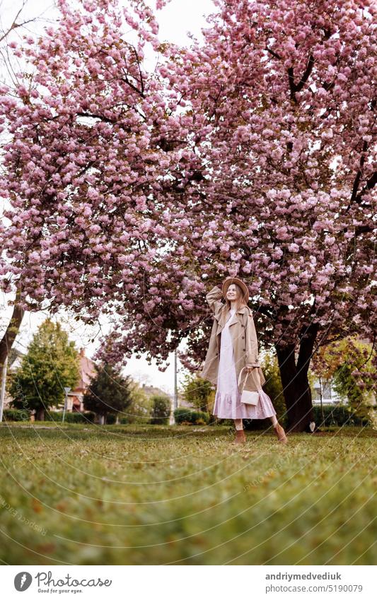 woman's day. Beautiful woman near the sakura trees. Woman in hat, dress and stylish coat. Pink flowers blooming in Uzhhorod, Ukraine. Blossom around. Spring time concept.