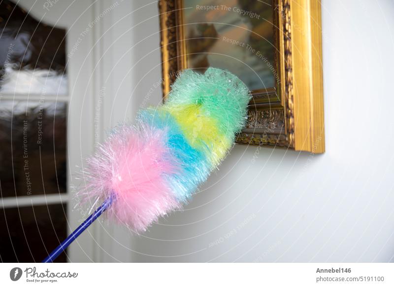 Colorful feather duster wiping the dust from oil painting in modern white home, Cleaning concept. Dust on vintage painting cleaner caucasian housework room