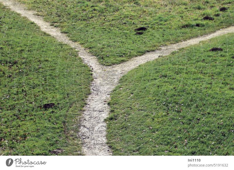 Ypsilon path on the meadow Landscape top-down Footpath Junction Lanes & trails Cross Direction narrow path detail areas Three surfaces Area division Green space