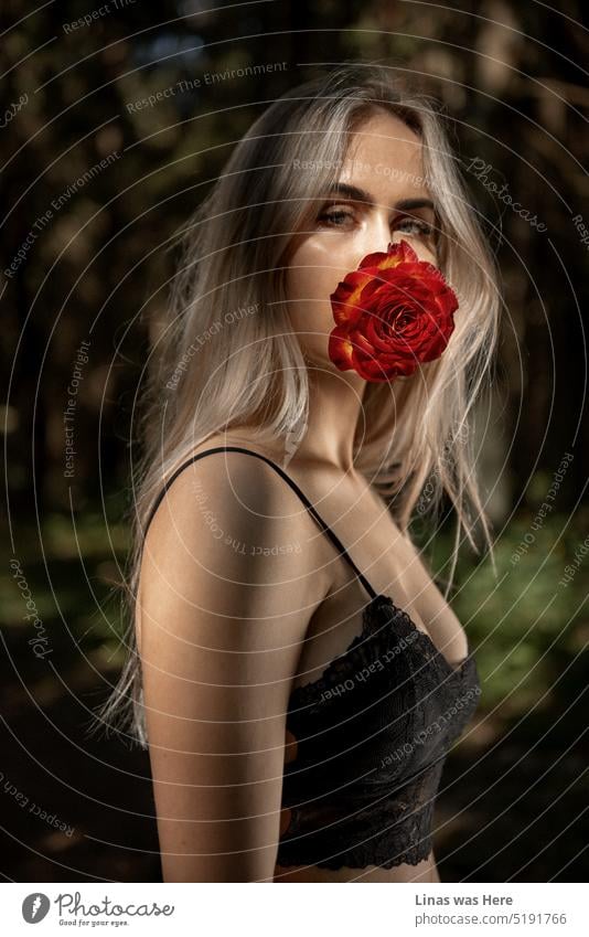 A portrait of a natural blonde beauty in the woods. A red rose in her mouth. Catching eye contact with a camera. A pretty woman is enlightened by some sun rays while being in the shadows. Her pretty face can’t hide under the flowers.