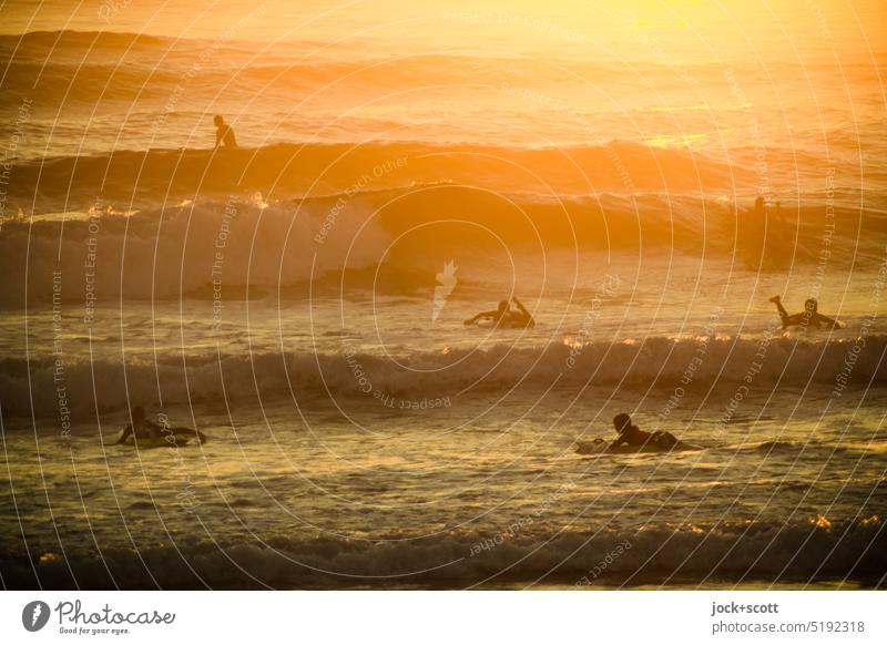 with the first rays of sun are all on the surfboard group Sunrise Morning Sunlight Silhouette Surfer Nature Back-light Ocean Pacific Ocean Warmth Romance