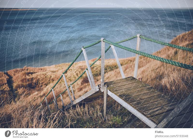 Stairs at Limfjord in Denmark Lemvig coast Fjord steep coast Water Nature Ocean Landscape Vacation & Travel Sky Colour photo Exterior shot Beach North Sea Waves