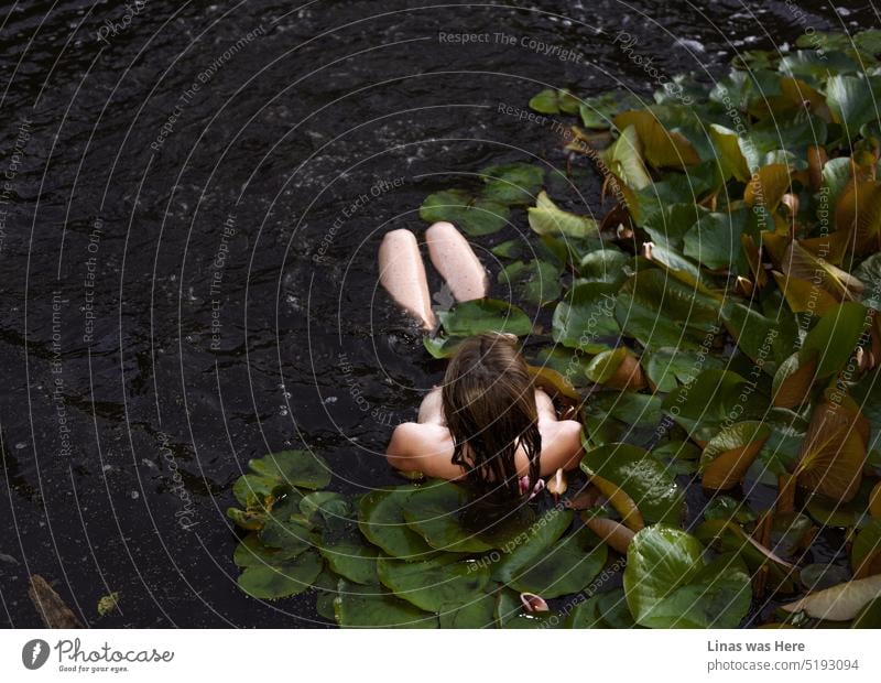 A gorgeous naked woman is taking a swim in these dark muddy waters. Water lilies surround her beautiful sexy body. A nude model is feeling comfortable and free from any clothes whatsoever.