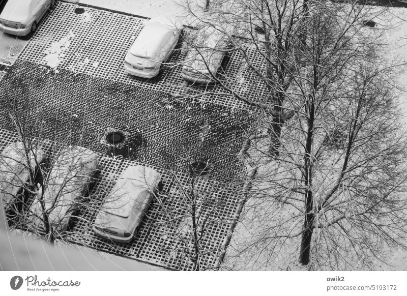 Freezer Pitches Parking lot cars Cars Winter Snow Exterior shot Detail Bird's-eye view Black & white photo Peaceful Idyll Town Sidewalk Abstract Nature