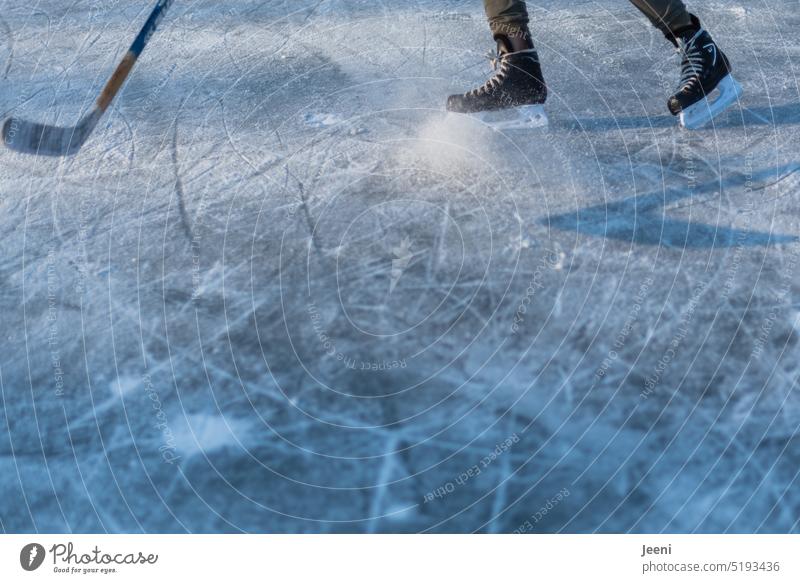 Ice hockey in winter Human being Legs Ice-skating ice hockey stick youthful Lake Snow Movement game fun Winter sports Leisure and hobbies Sports Playing