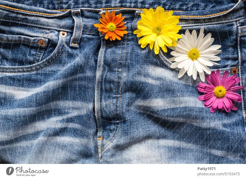 Flowers lie on a pair of jeans Jeans blossoms flowers Romance Fashion Flower power Washed out background variegated Love have a crush