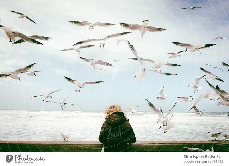 Birds flying high, you know how I feel. Seagulls swarming over a blonde woman on the sea off Sicily. Filmlook Tourism Tourist Sky Copy Space vacation