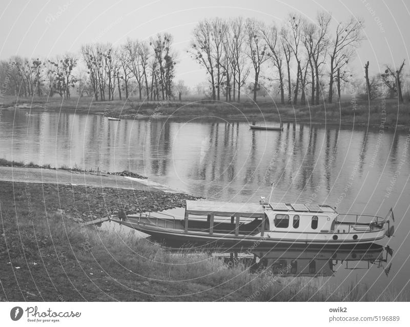 Tuckered out River bank Elbe Autumn Horizon Landscape Environment Nature Transport Means of transport Navigation Motor barge Wait Lie Serene Patient Idyll Calm
