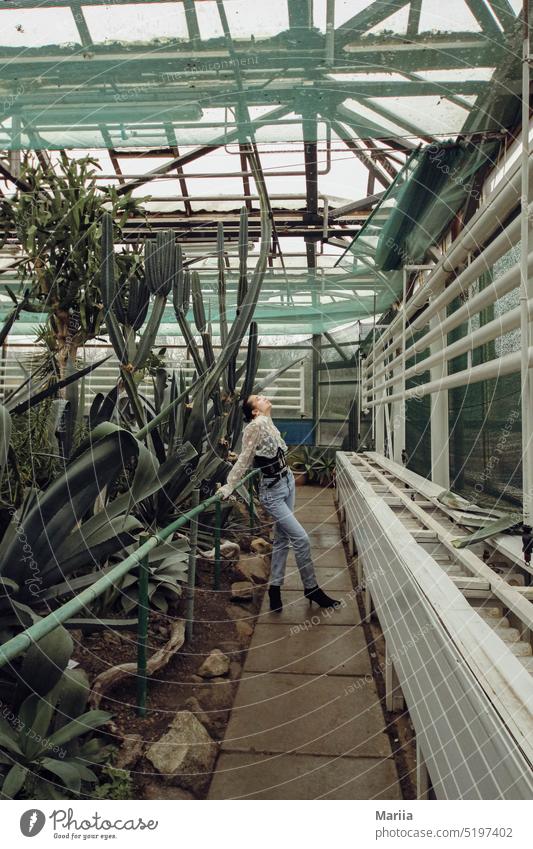 Girl in the greenhouse with cactus Woman wild girl European adult Greenhouse Cactus Window warm interior plants exotic plants Guava Succulent plants Nature