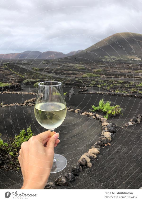 Woman holding a glass of white wine on winery in Lanzarote, Spain. Volcanic wine - vineyard growing near dormant volcano. woman tourist travel beautiful