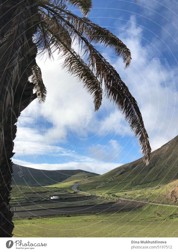 Palm tree and dormant volcano in Lanzarote, Spain. Scenic highway in the mountains on sunny day. Landscape of the road with mountain view and blue sky with white clouds.