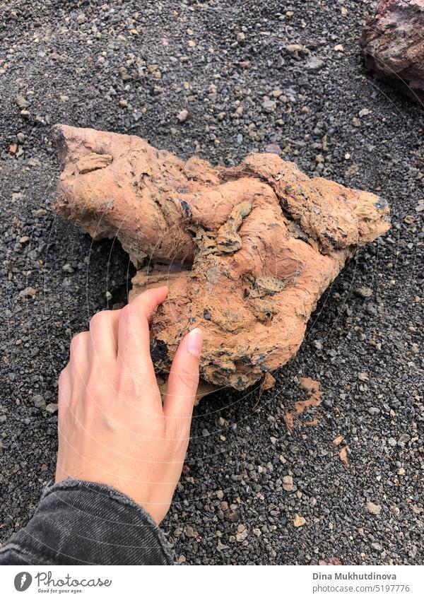hand holding a piece of igneous rock. volcanic material. Volcano eruption.  Dried up lava boulder in crater on black soil in Lanzarote, Spain. volcano formation