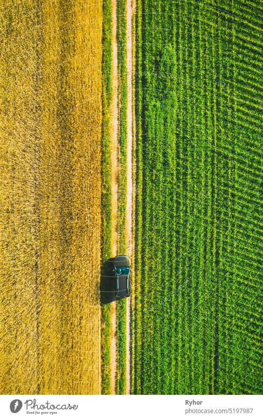 Aerial View Of Car SUV Parked Near Countryside Road In Spring Field Rural Landscape. Car Between Young Wheat And Corn Maize Plantation car field wheat corn 4wd