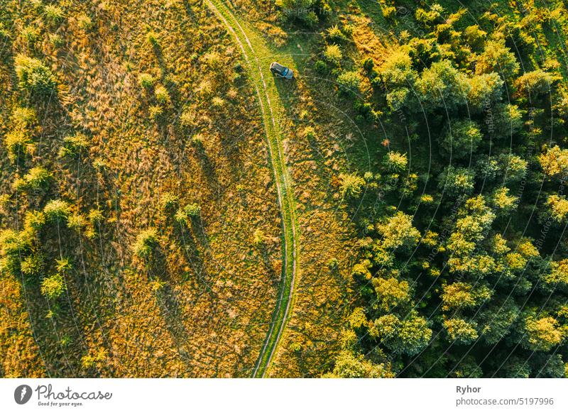 Aerial View Of Car Near Country Road Thgrough Forest And Green Meadow Landscape In Sunny Summer Morning. Top View Of Beautiful European Nature From High Attitude