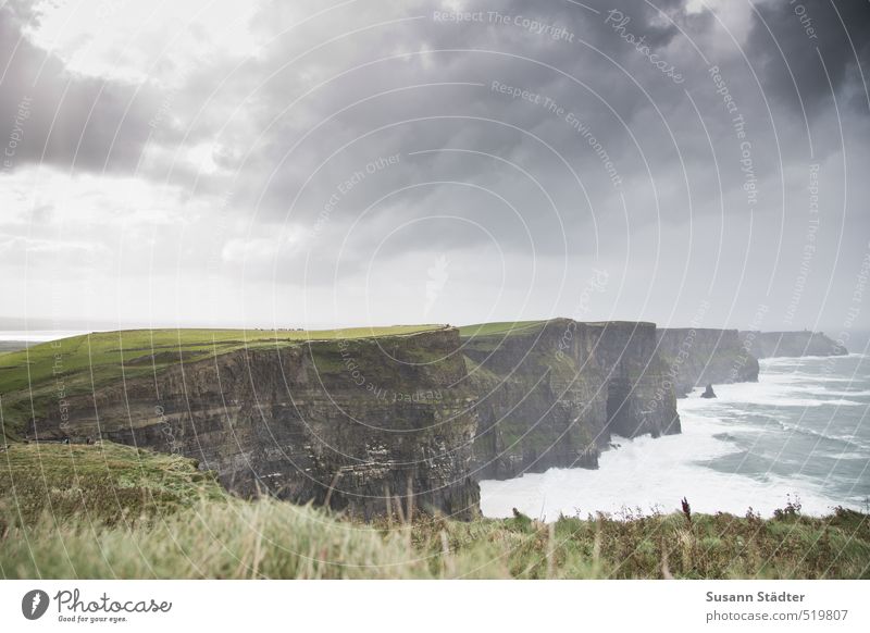 Cliffs of Moher Ireland coast Rock coastal migration Ocean Clouds