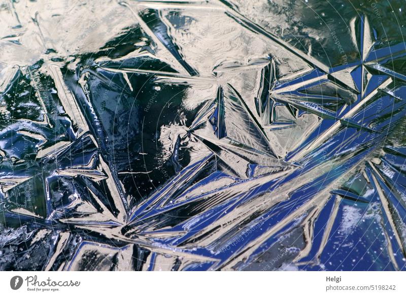 Ice structures in the rain barrel ice structures Winter Frost chill Frozen Cold Exterior shot cold temperature Close-up Pattern Light Shadow Wintertime Freeze