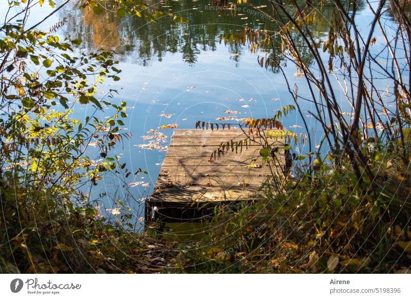 Entry into the weekend Lake Footbridge Idyll Autumn jetty Beautiful weather Calm Water Relaxation Lakeside Nature Sunlight Peaceful Lonely Loneliness Blue Pond