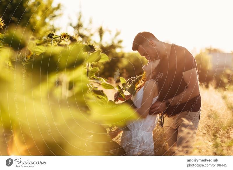 Beautiful couple is kissing in sunflowers field at sunset. A man and a woman in love walk in a field with sunflowers, a man hugs a woman. selective focus