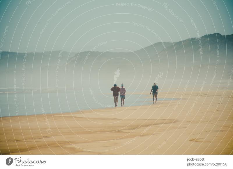 easy walk on Ocean Beach group Human being Family & Relations Going To go for a walk Lanes & trails Landscape Haze Vacation & Travel coast Silhouette Australia