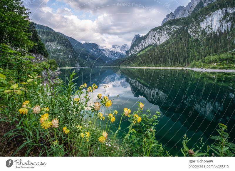 Beautiful mountain Gosau lake and Dachstein peaks, Austria austria dachstein gosau mountains nature landscape travel alps water view tourism reflection outdoor