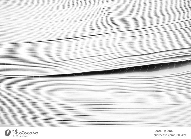 "From the cradle to the grave: forms, forms": stacks of paper Paper Stack Stack of paper Gap Interior shot Deserted Detail Forms Close-up Cradle stretcher