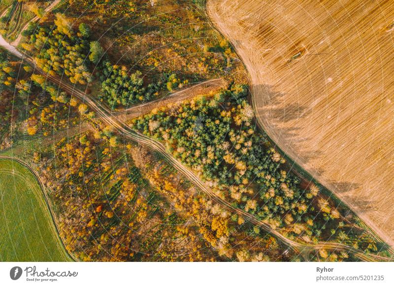 Aerial View Plantation With Young Green Forest Area Near Rural Field Landscape. Top View Of New Young Growing Forest. European Nature From High Attitude In Autumn Season