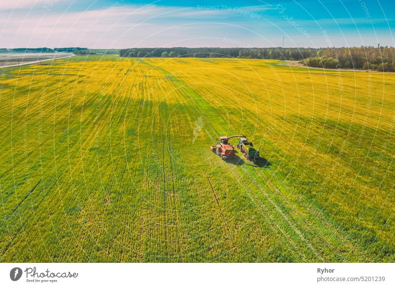 Aerial View Of Rural Landscape. Combine Harvester And Tractor Working Together In Field. Harvesting Of Oilseed In Spring Season. Agricultural Machines Collecting Blooming Rapeseeds Canola Colza. Elevated View