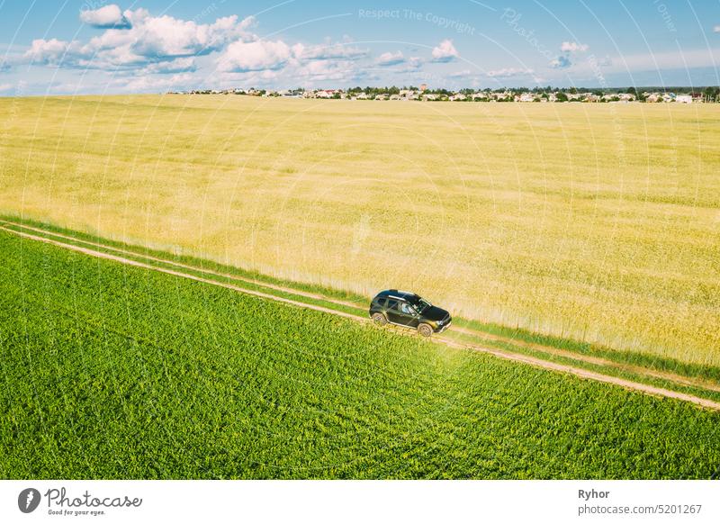 Aerial View Of Car SUV Parked Near Countryside Road In Spring Field Rural Landscape. Car Between Young Wheat And Corn Maize Plantation car field 4wd above