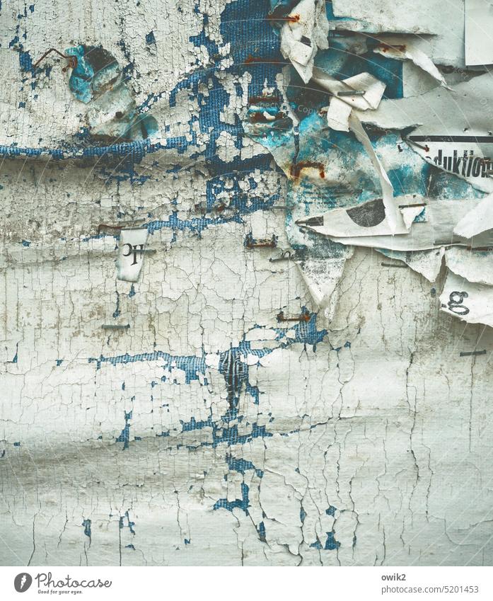Water soluble Paper paperwork Scrap Poster Broken Old Advertising Abstract Trashy Close-up Decline Transience Change Ravages of time Destruction