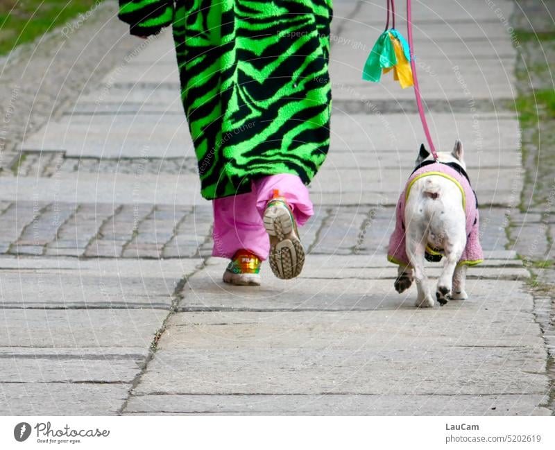 Best friends in partner look Walk the dog Going for a walk Dog Pug variegated shrill Reckless daring outfit Pet To go for a walk go out with the dog Friends