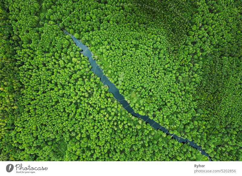 Elevated View Of Green Small Bog Marsh Swamp River Wetland And Green Forest Landscape In Summer Day. Attitude View. Forest In Bird's Eye View aerial aerial view