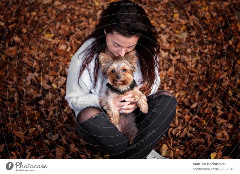 Portrait of a girl with her Yorkshire terrier dog. Autumn season. adorable adult animal autumn beautiful brown caucasian cute domestic face family female