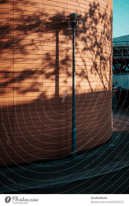 Shadow of tree with lantern on curved light brown facade of building Building Lantern Tree flexed Curved Brown Light brown urban Architecture Berlin Nature Town