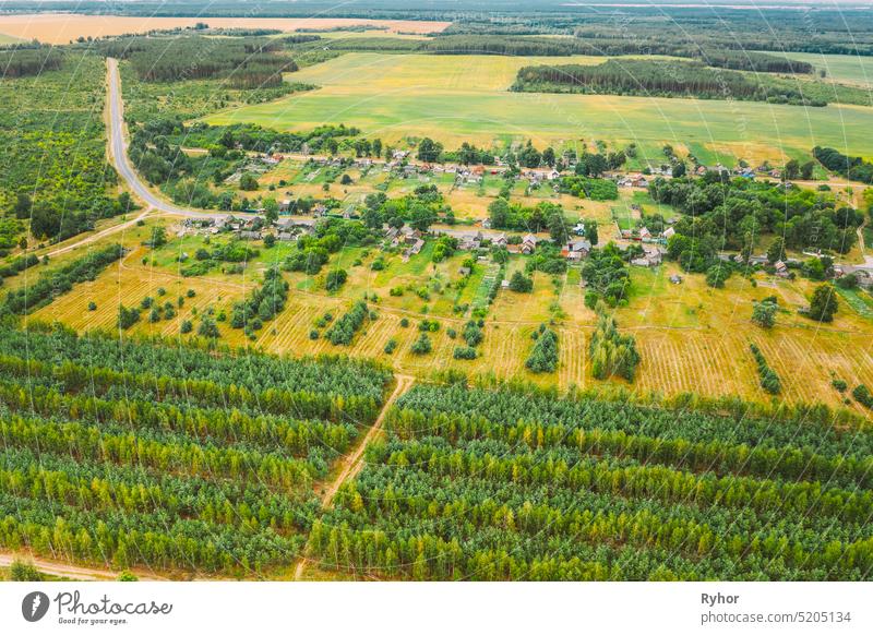 Aerial View Green Forest Deforestation Area Landscape Near Village. Top View Of New Young Growing Forest. European Nature From High Attitude In Summer eco high