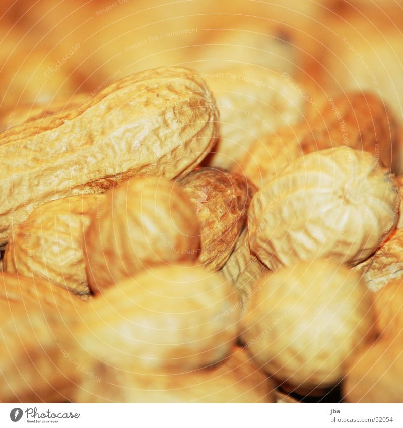 peanuts Nut Yellow Nutrition Blur spanish nuts Earth Food Macro (Extreme close-up) sharp-blurred