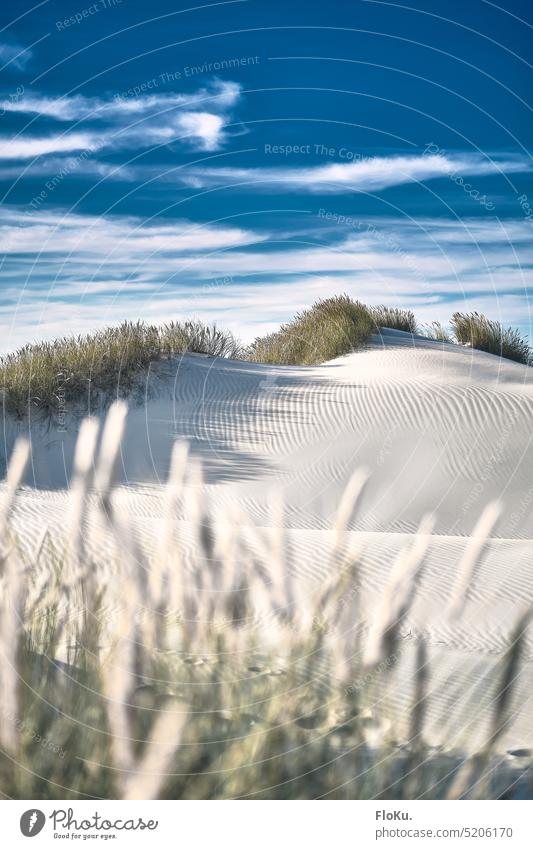 White dunes in Denmark Beach coast North Sea North Sea coast Sand Sandy beach Vacation & Travel Ocean Nature Sky duene Landscape Marram grass Relaxation Blue