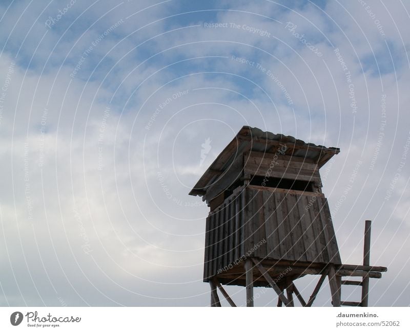 lookout tower Wood Clouds Hunter Hunting Blind Roof Sky Ladder Hut Vantage point Far-off places Above Tall Wooden board Landscape Large