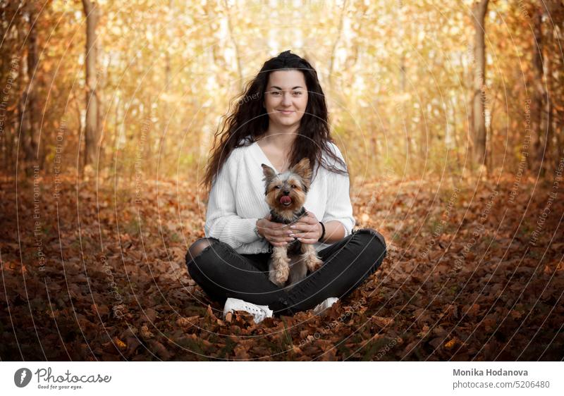 A girl sitting in the forest with her best friend. Yorkshire terrier. animal attractive autumn beautiful beauty best friends caucasian charming dog dogs