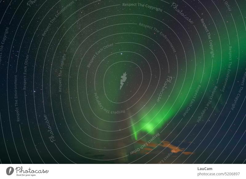 Aurora Borealis - Wonders of Nature aurora polaris aurora borealis Night sky Starry sky Green Fascinating Sky Islsnd Norway The Arctic Phenomenon