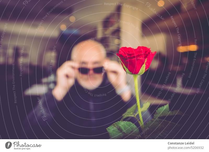 Red rose for a man with sunglasses - in restaurant. pink Flower Blossom Restaurant Man Sunglasses blurred farsighted blurriness blossom Blossoming Romance