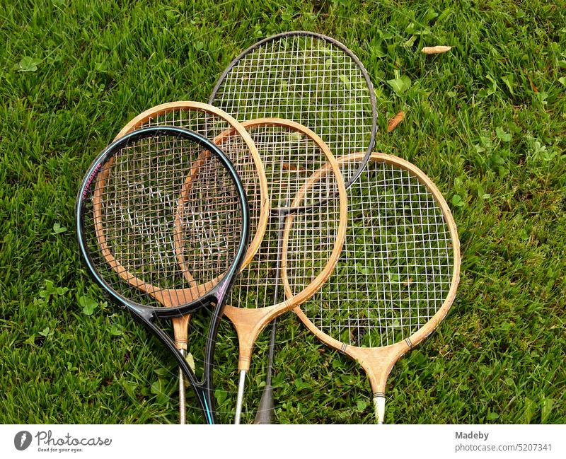 Rackets made of wood and plastic for badminton and badminton on green lawn on a farm in the summer in Rudersau near Rottenbuch in the district of Weilheim-Schongau in the Pfaffenwinkel in Upper Bavaria