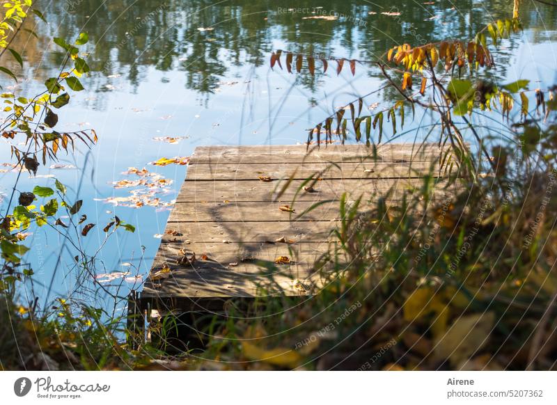 Invitation to refreshment Lake Footbridge Idyll Autumn jetty Beautiful weather Calm Water Relaxation Lakeside Nature Sunlight Peaceful Lonely Loneliness Blue