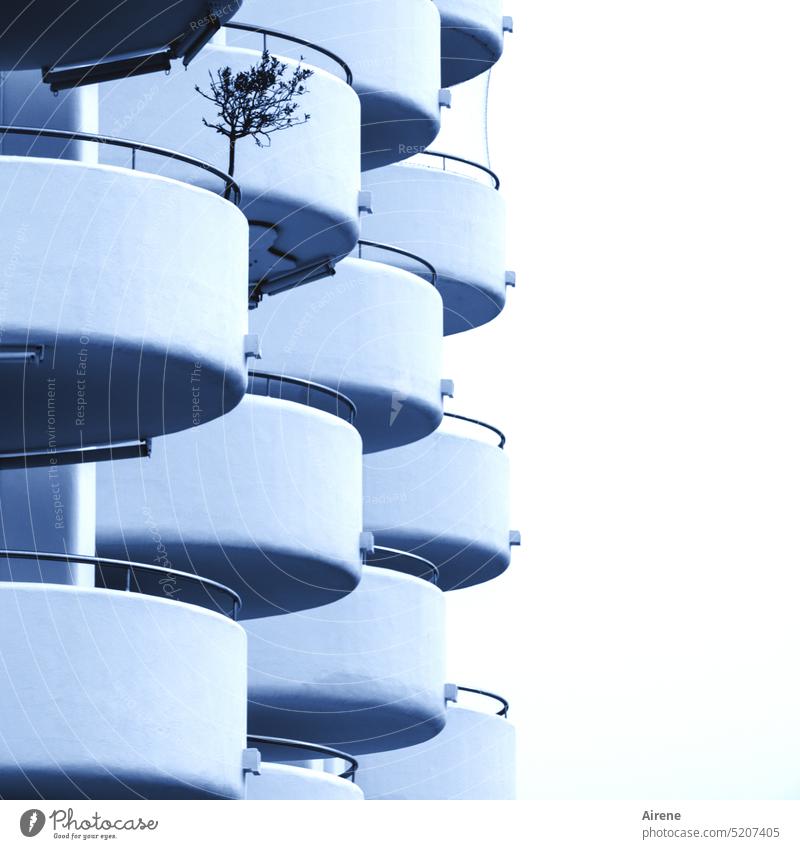 Last Tree Standing Facade Architecture House (Residential Structure) White Blue Balcony High-rise Arrangement Clarity Simple Tall Classification colourless