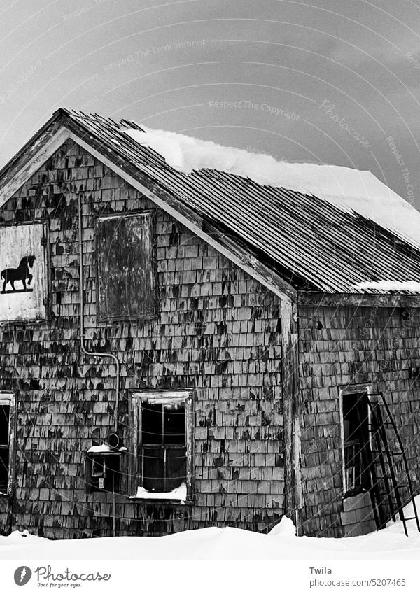 Old barn in winter Winter cold rustic horse moody wood exterior shot shed building Snow
