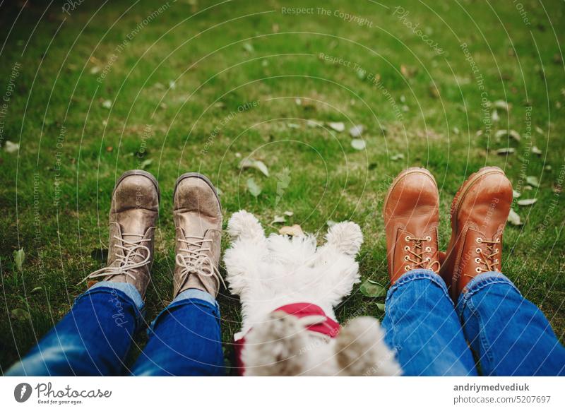 Dog and couple on the green grass with leaves. Focus on feet. People relaxing after walking. Place for inscription animal canine casual cute dog family foot