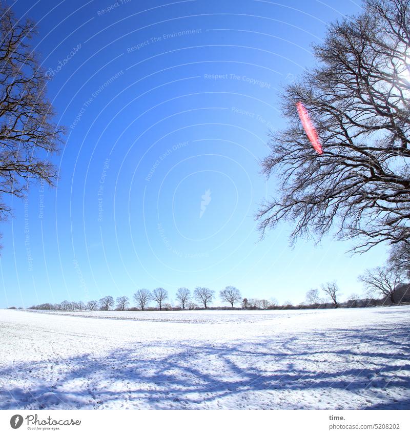 Winter landscape with lensflare Landscape sunny Snow trees Sky Horizon Lensflare Patch of light Shadow wide Meadow Beautiful weather Cold chill panorama