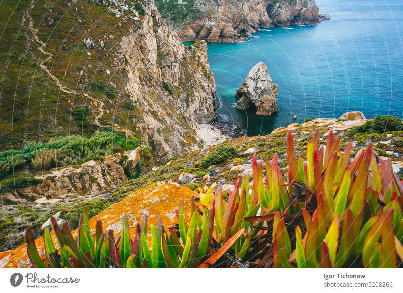 Cabo da Roca is the extreme point of Europe. Hidden beache with Rock, blue clear waters and foliage. Atlantic Ocean, Sintra, Portugal atlantic azoia boulder