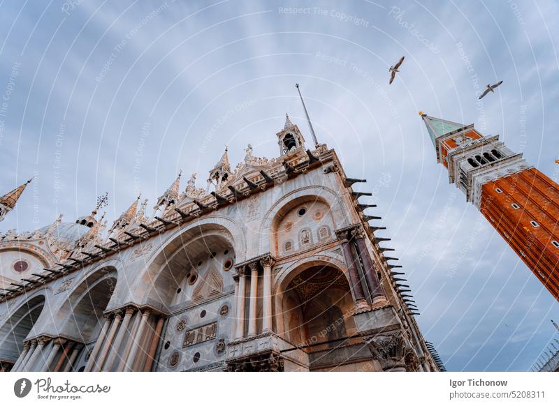Detail of the bell tower Campanile di San Marco and the cathedral Cattedrale of St. Mark in Venice and flying seagulls. Venice, Italy heritage venice italy